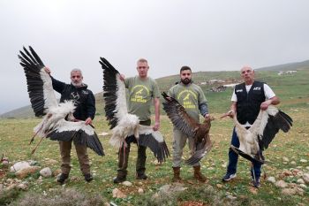 Vogelschutzcamp im Libanon abgeschlossen